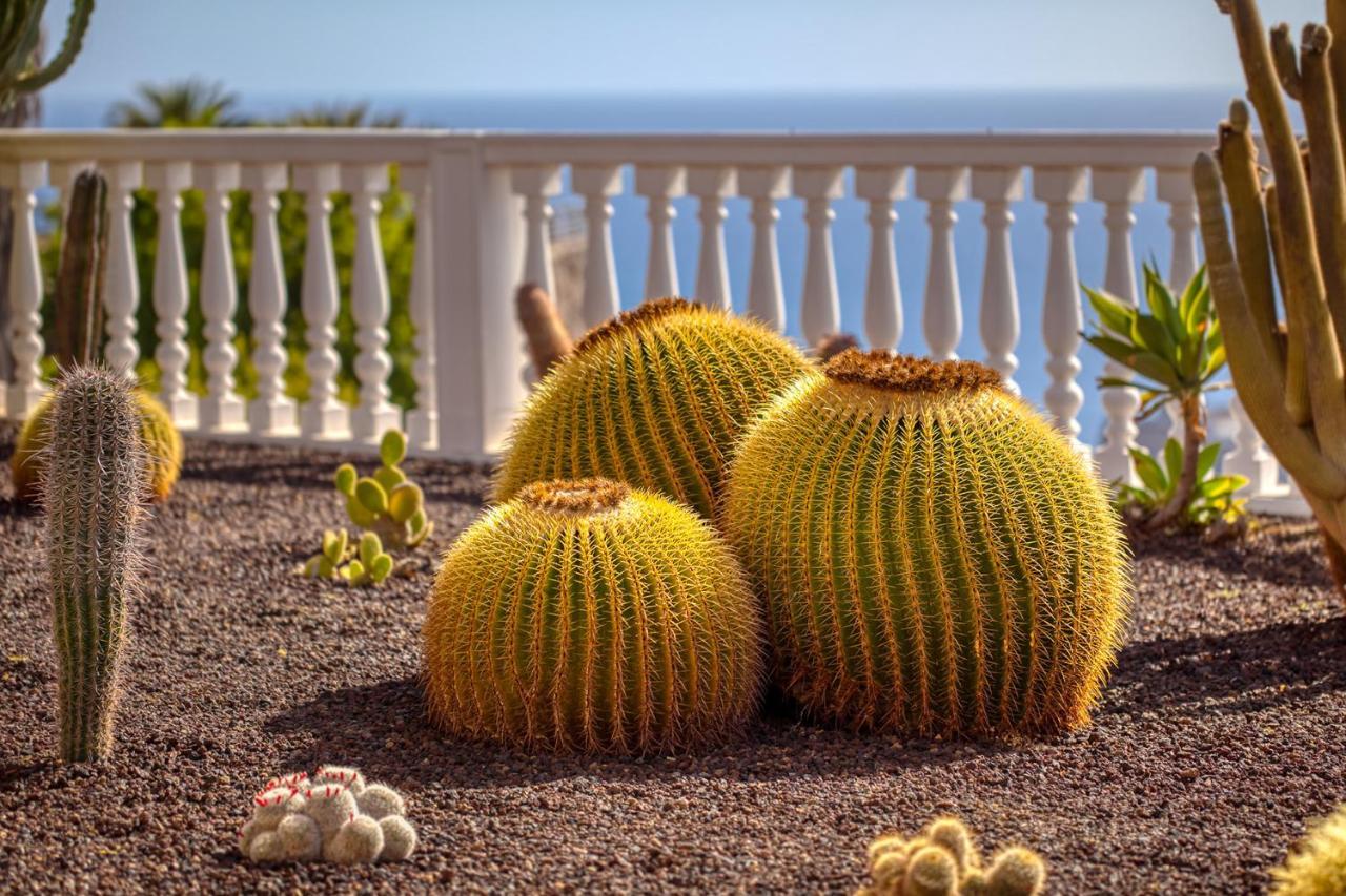 Stunning Villa With Breathtaking Ocean View Mogán 外观 照片